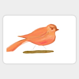 Cardinal Aviary Sticker